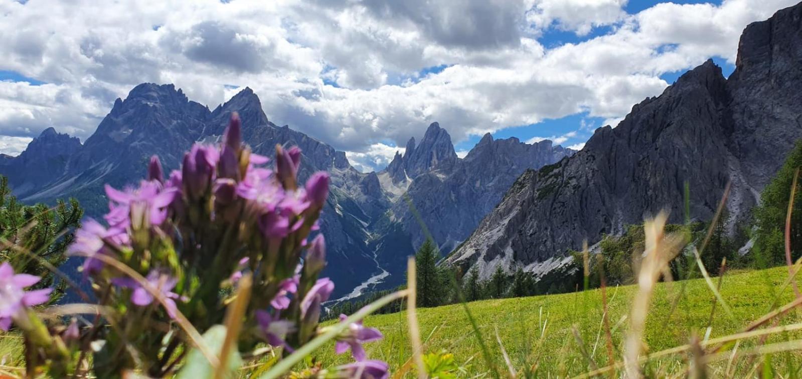 Appartamento Comelico Dolomiti Candide 외부 사진