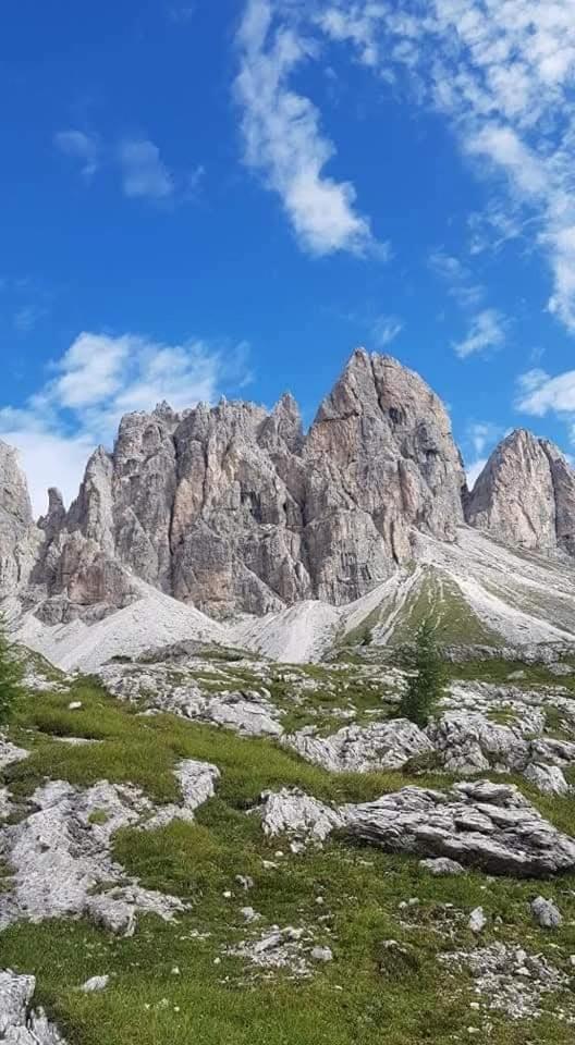 Appartamento Comelico Dolomiti Candide 외부 사진