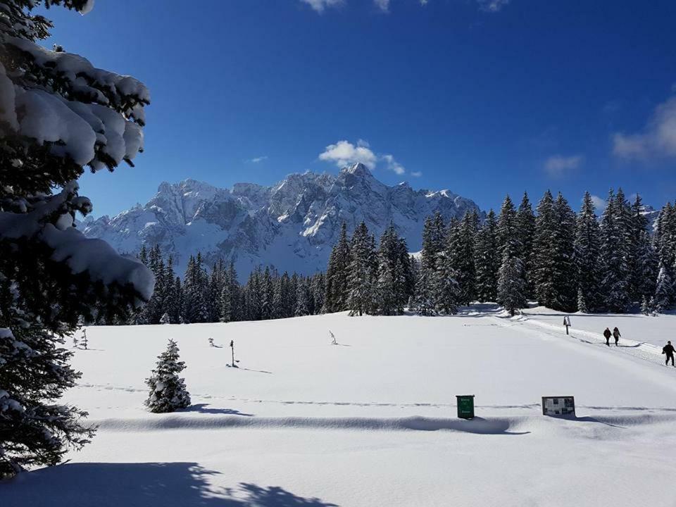 Appartamento Comelico Dolomiti Candide 외부 사진